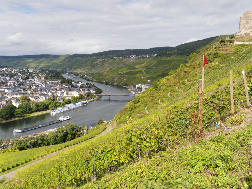 Valley and Castle Landshut on the right