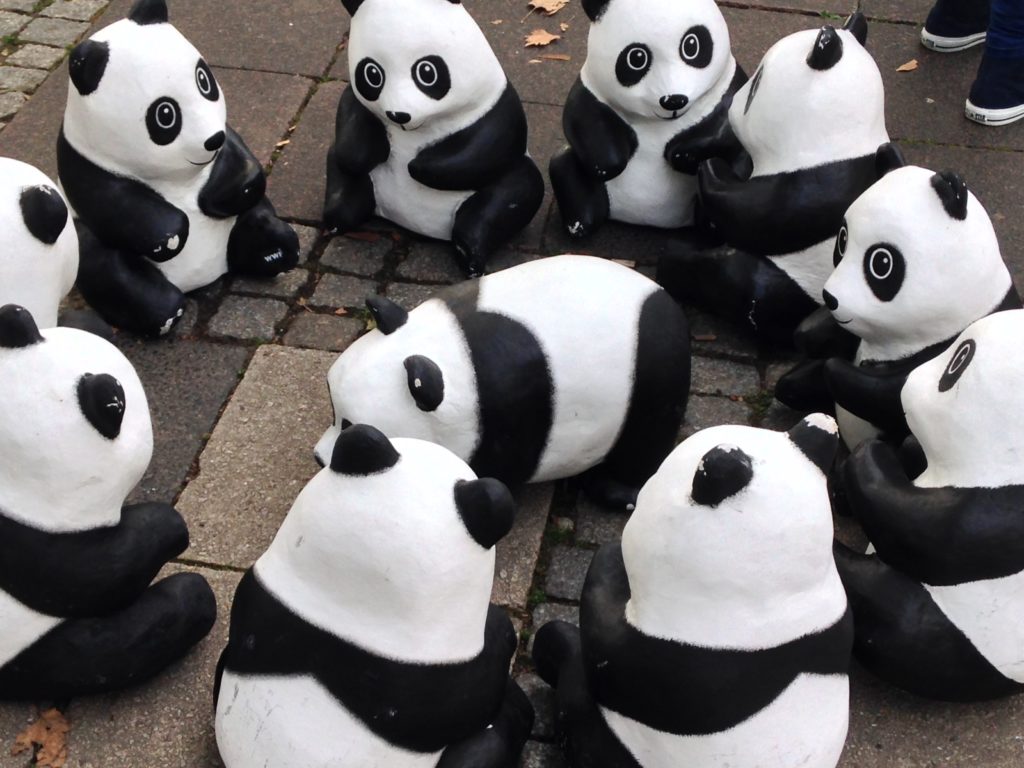 Pandas circle