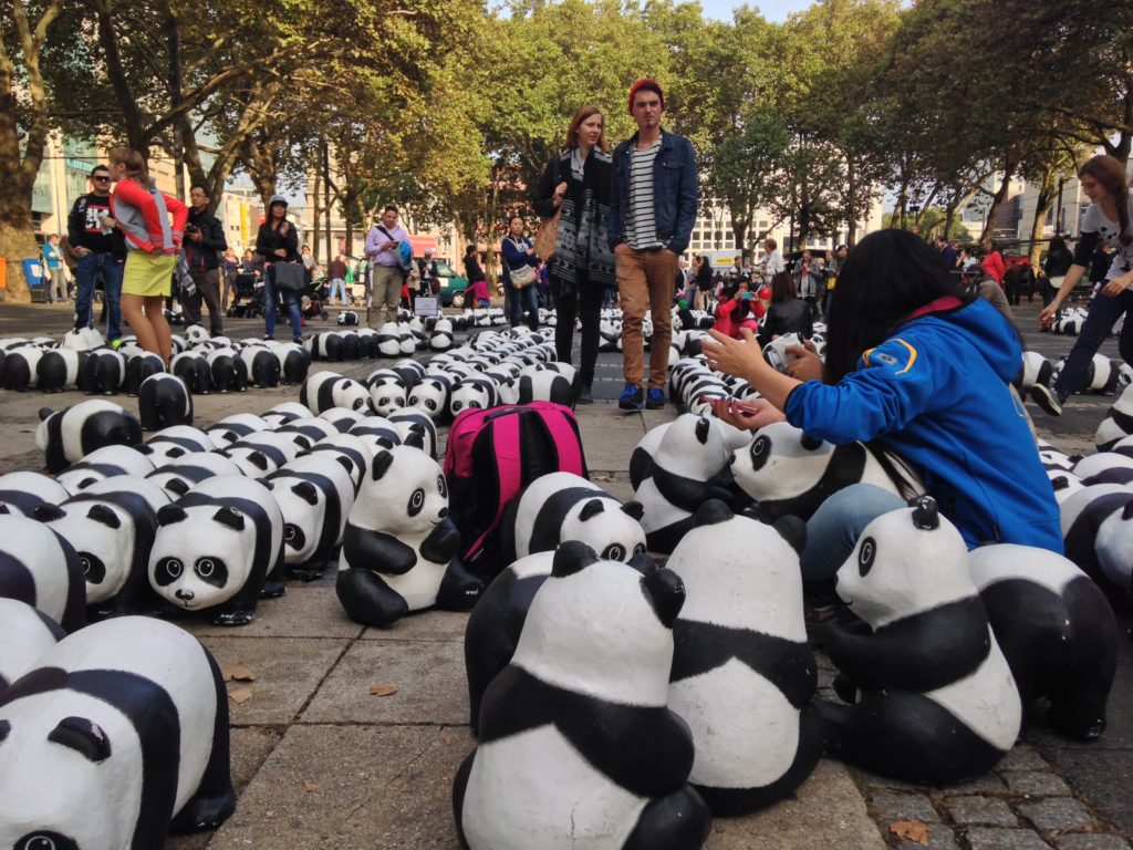 Viele Pandas!