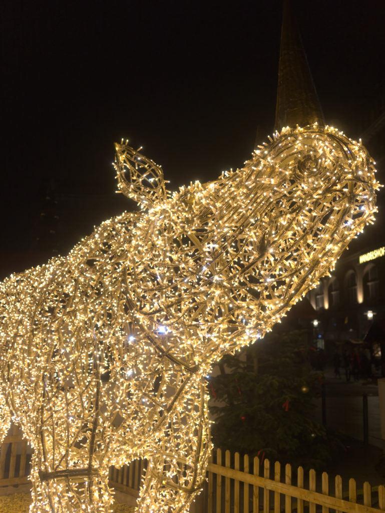 Essen Illumination Weeks: animal front