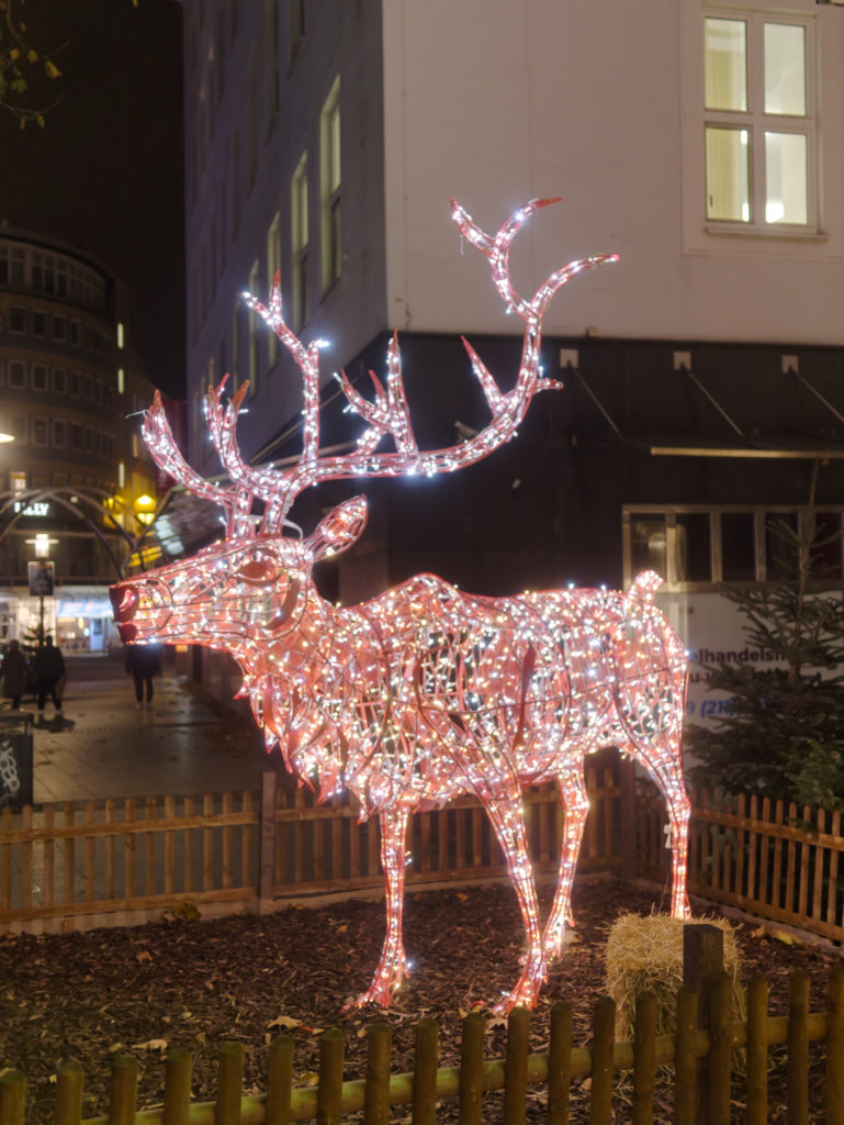 Essener Lichtwochen: Hirsch