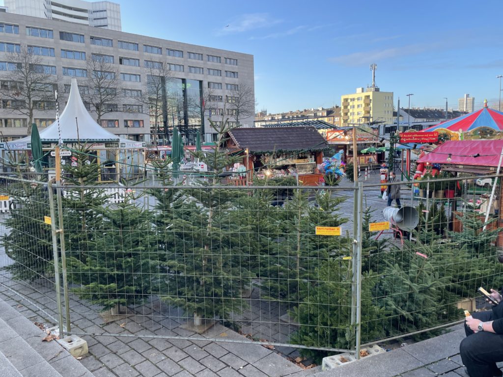 Christmas tree sale