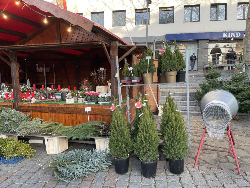 Christmas tree sale