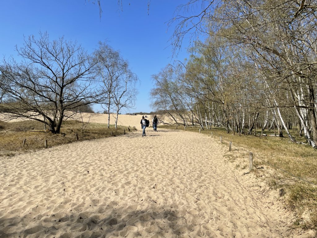 Boberger Dunes