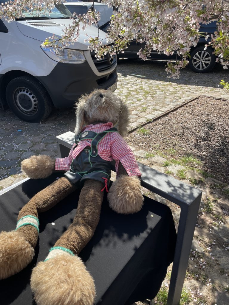 Kultur-Flohmarkt in Hamburg-Barmbek: Stoffhase in Lederhosen