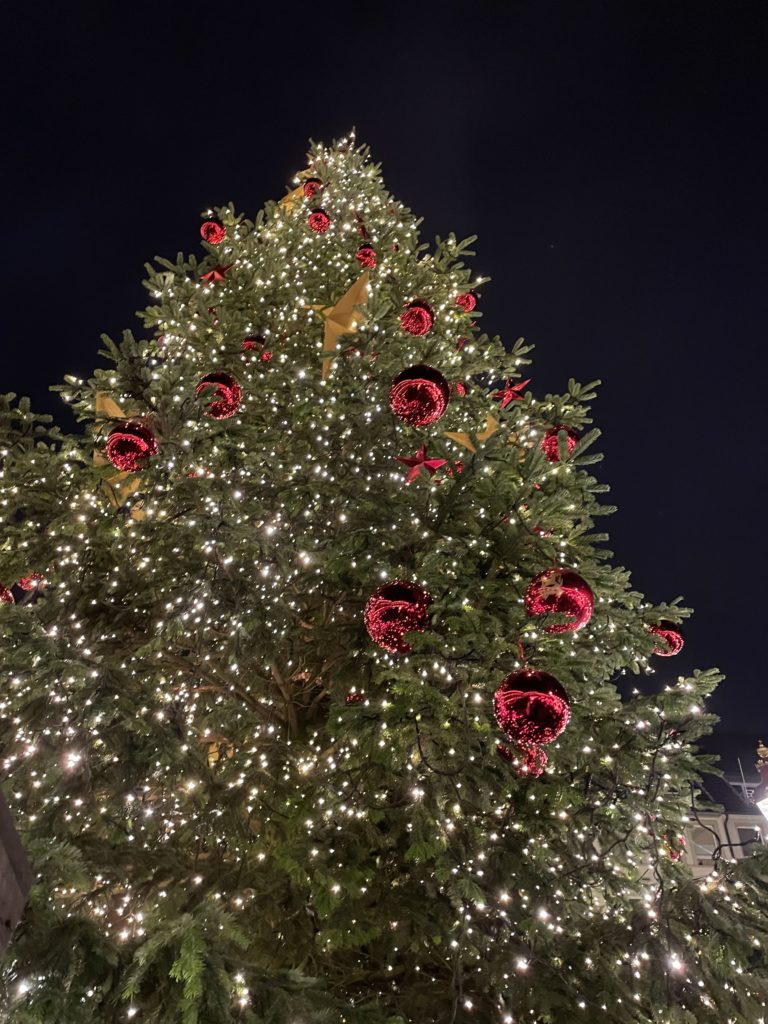 Christmas tree in front of the old town hall