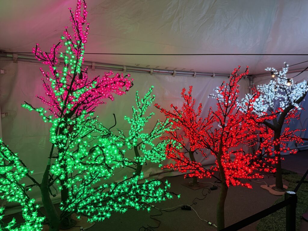 The light festival tent at the Japan & Korea Light & Food Festival Düsseldorf 2025